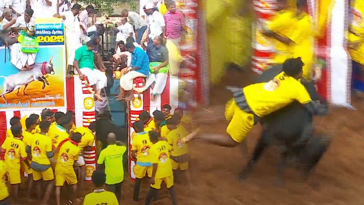 1,100 காளைகள், 900 மாடுபிடி வீரர்கள்... களை கட்டும் அலங்காநல்லூர் ஜல்லிக்கட்டு - பரிசுகள் என்னென்ன?