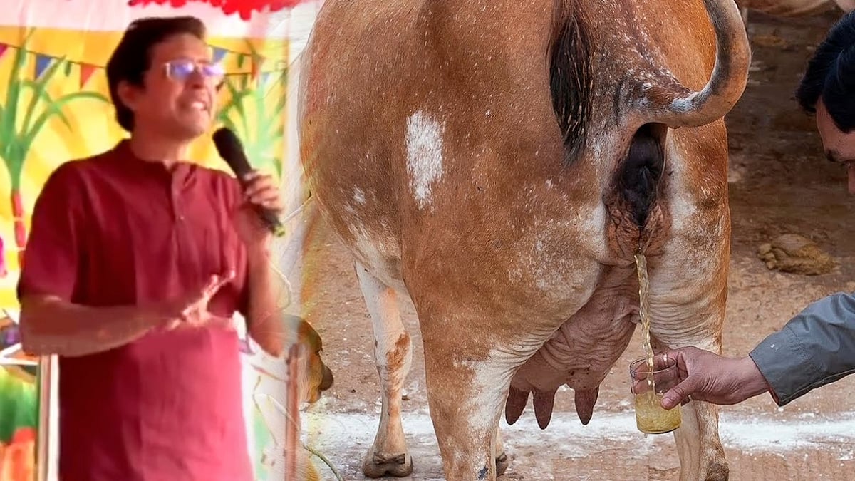 “கோமியம் குடித்தால் காய்ச்சல் நீங்கும்” - சென்னை ஐஐடி இயக்குநர் காமகோடி பேச்சால் வெடித்த சர்ச்சை!