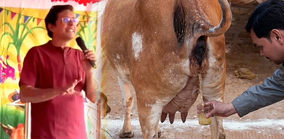 “கோமியம் குடித்தால் காய்ச்சல் நீங்கும்” - சென்னை ஐஐடி இயக்குநர் காமகோடி பேச்சால் வெடித்த சர்ச்சை!