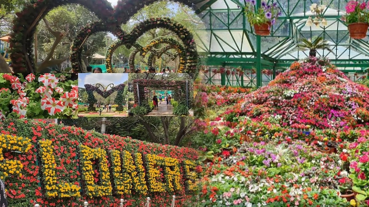 முடிவடைந்தது சென்னை மலர் கண்காட்சி : 1 லட்சத்துக்கும் அதிகமானோர் கண்டுகளிப்பு ! 