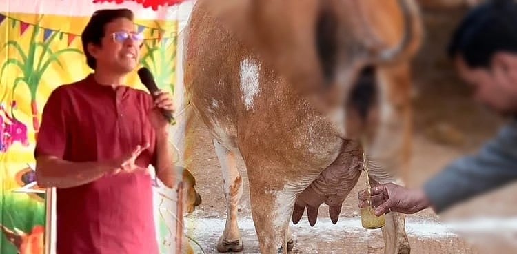 14 வகை பாக்டீரியாக்கள்... “மாட்டு கோமியம் குடிச்சா இதான் நிலைமை..” - இந்திய கால்நடை ஆய்வு எச்சரிக்கை !