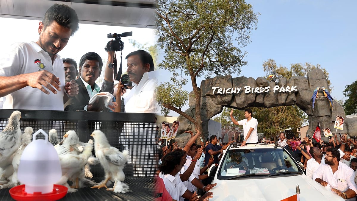 இந்தியாவிலேயே மிகப்பெரிய பறவைக் கூடம்: பிரமிக்க வைக்கும் ‘திருச்சி பறவைகள் பூங்கா’ - சிறப்பம்சங்கள் என்ன?