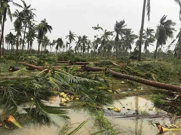 கஜா புயல் : பாதிக்கப்பட்டவர்கள் மனு அளித்தால் இழப்பீடு குறித்து பரிசீலிக்கப்படும் - தமிழ்நாடு அரசு !