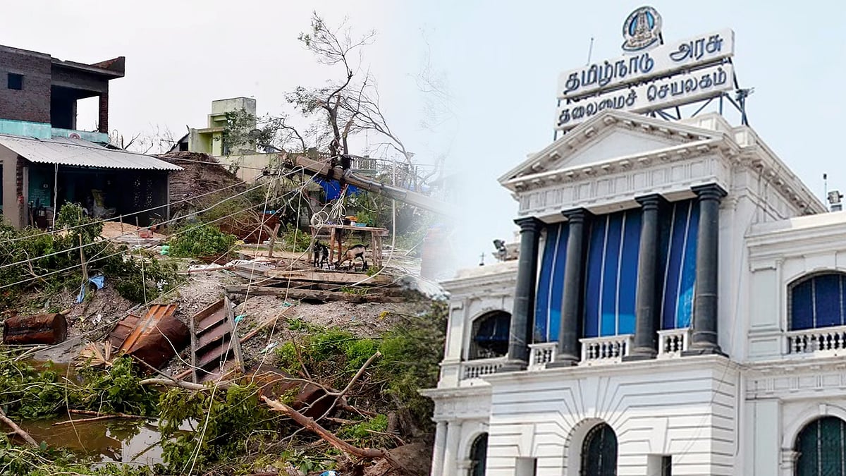 கஜா புயல் : பாதிக்கப்பட்டவர்கள் மனு அளித்தால் இழப்பீடு குறித்து பரிசீலிக்கப்படும் - தமிழ்நாடு அரசு ! 