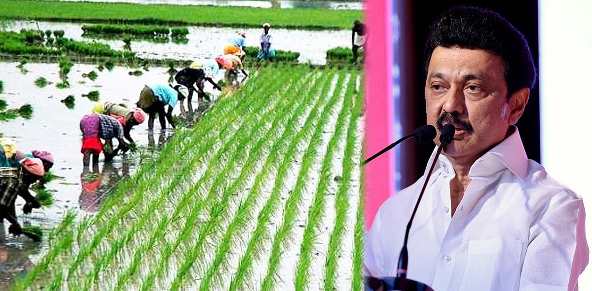 வேளாண் வளர்ச்சி திட்டத்தில் 105% சாதனை : திட்டங்கள் செயல்படுத்தம் குறித்து முதலமைச்சர் மு.க.ஸ்டாலின் உரை!