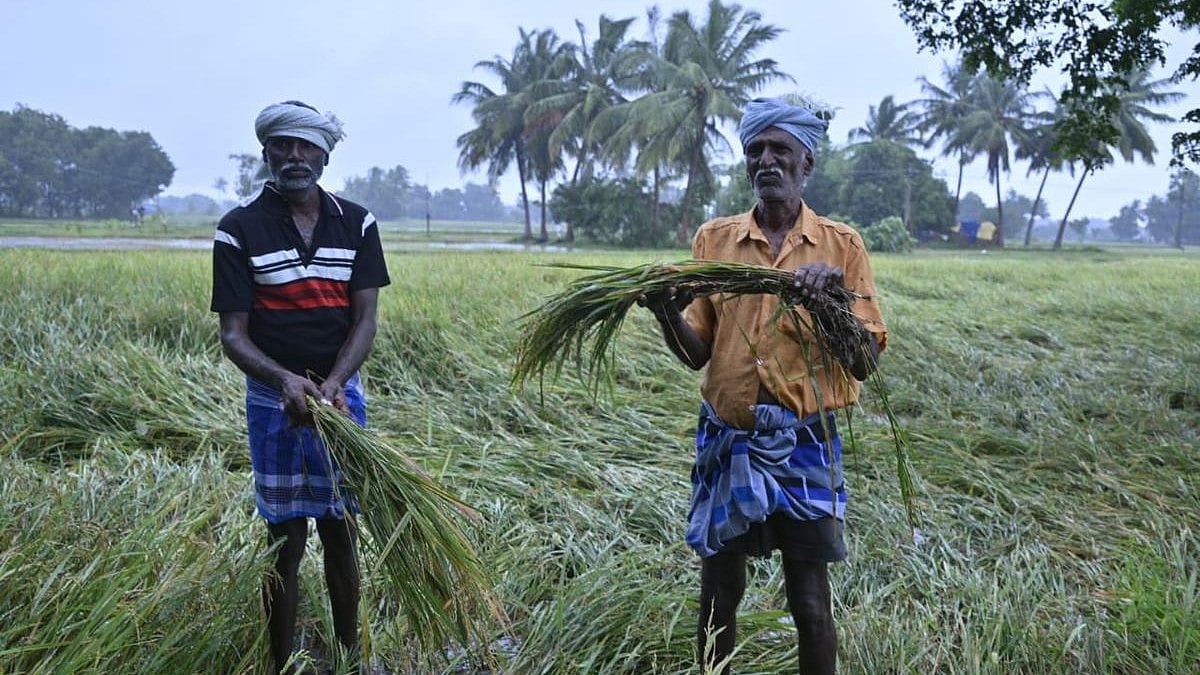 ஃபெஞ்சல் புயல் - ரூ.498.80 கோடி  நிவாரணம் வழங்க முதலமைச்சர் மு.க.ஸ்டாலின் உத்தரவு : யாருக்கு நிதி?