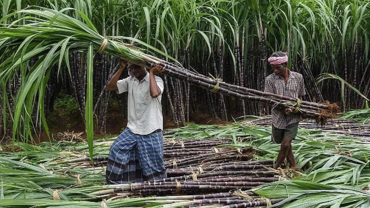 வேளாண் நிதிநிலை அறிக்கை தாக்கல் : கரும்பு விவசாயிகளுக்கான முக்கிய அறிவிப்பு இதோ!