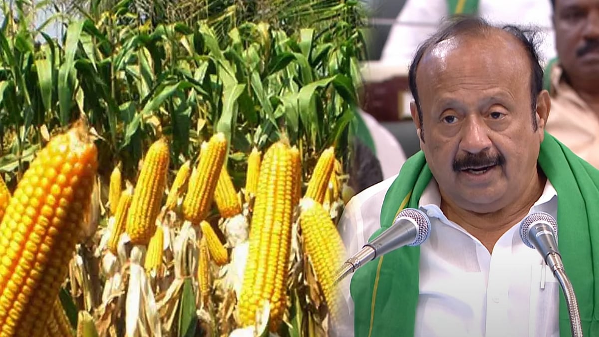 🔴LIVE | தமிழ்நாடு வேளாண் நிதிநிலை அறிக்கை! : அமைச்சர் எம்.ஆர்.கே.பன்னீர்செல்வம் தாக்கல் செய்வதது என்ன?