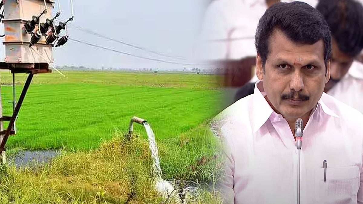 “1.81 லட்சம் விவசாயிகளுக்கு மின் இணைப்புகள் வழங்கிய திராவிட மாடல்!” : அமைச்சர் செந்தில் பாலாஜி தகவல்!
