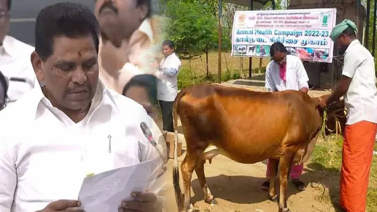 “தமிழ்நாட்டில் கிராம முகாம்கள் மூலம் 9 லட்சம் கால்நடைகளுக்கு சிகிச்சை!” : அமைச்சர் அனிதா ராதாகிருஷ்ணன்!