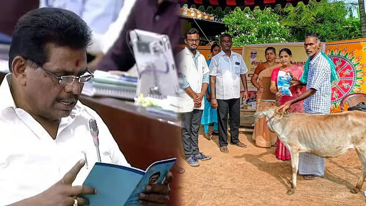 “தமிழ்நாட்டில் கிராம முகாம்கள் மூலம் 9 லட்சம் கால்நடைகளுக்கு சிகிச்சை!” : அமைச்சர் அனிதா ராதாகிருஷ்ணன்!