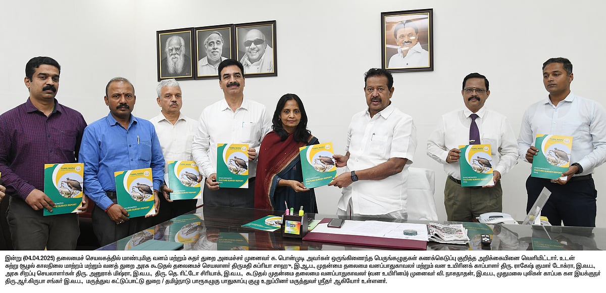 பாறு கழுகுகளின் எண்ணிக்கை அதிகரிப்பு - பறவைகள் பாதுகாப்பில் தனி கவனம் செலுத்தும் தமிழ்நாடு அரசு!