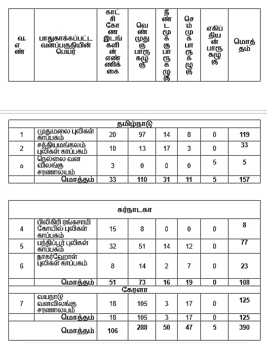 பாறு கழுகுகளின் எண்ணிக்கை அதிகரிப்பு - பறவைகள் பாதுகாப்பில் தனி கவனம் செலுத்தும் தமிழ்நாடு அரசு!