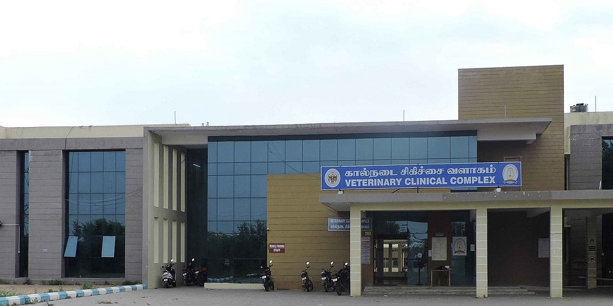 “தமிழ்நாடு முழுவதும் 100 அரசு கால்நடை மருத்துவமனைகள் மேம்படுத்தப்படும்!” : முதலமைச்சர் உத்தரவு!