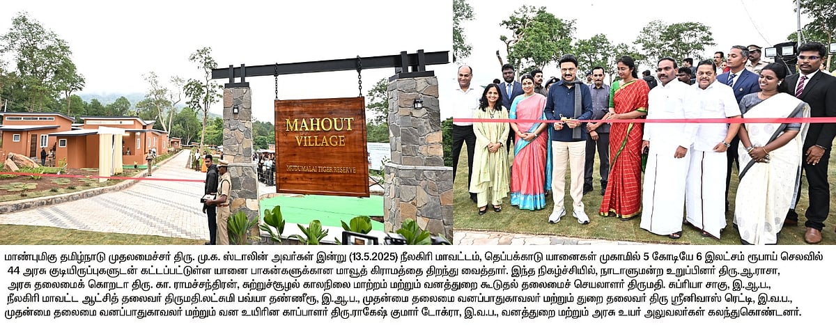 மாவூத் கிராமம் முதல் Aerial Bunched Cable வரை.. நீலகிரியில் இன்று முதல்வர் தொடங்கி வைத்த நிகழ்வுகள் என்ன?