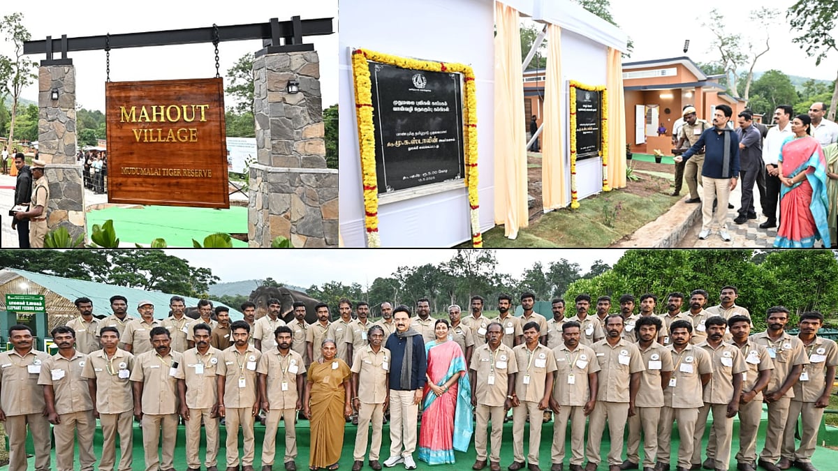மாவூத் கிராமம் முதல் Aerial Bunched Cable வரை.. நீலகிரியில் இன்று முதல்வர் தொடங்கி வைத்த நிகழ்வுகள் என்ன?