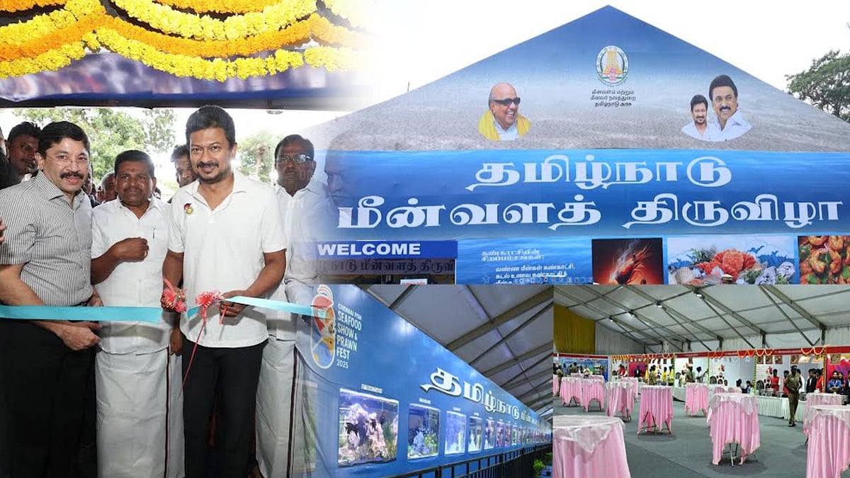 சென்னையில் “தமிழ்நாடு மீன் உணவு திருவிழா 2025” தொடக்கம்! : முழு விவரம் உள்ளே!