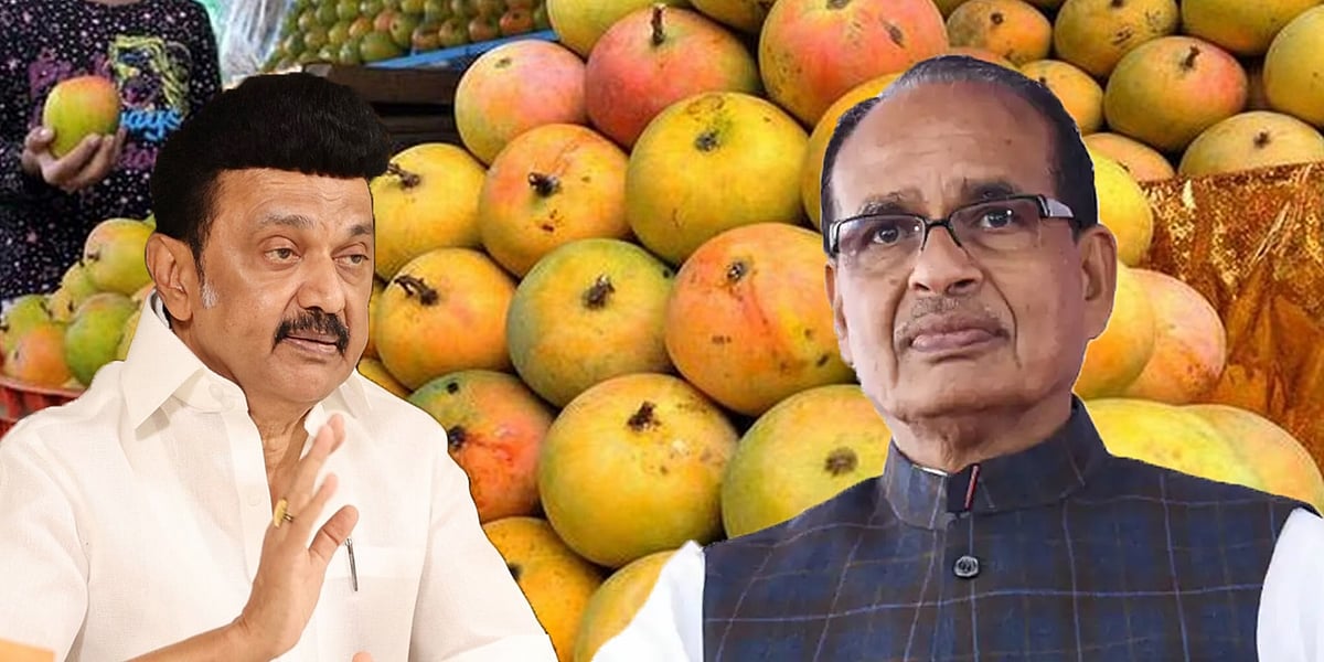 மாம்பழ விலை வீழ்ச்சி...  “விவசாயிகளுக்கு உரிய நிதியை வழங்கிடுக” - ஒன்றிய அமைச்சருக்கு முதலமைச்சர் கடிதம்!