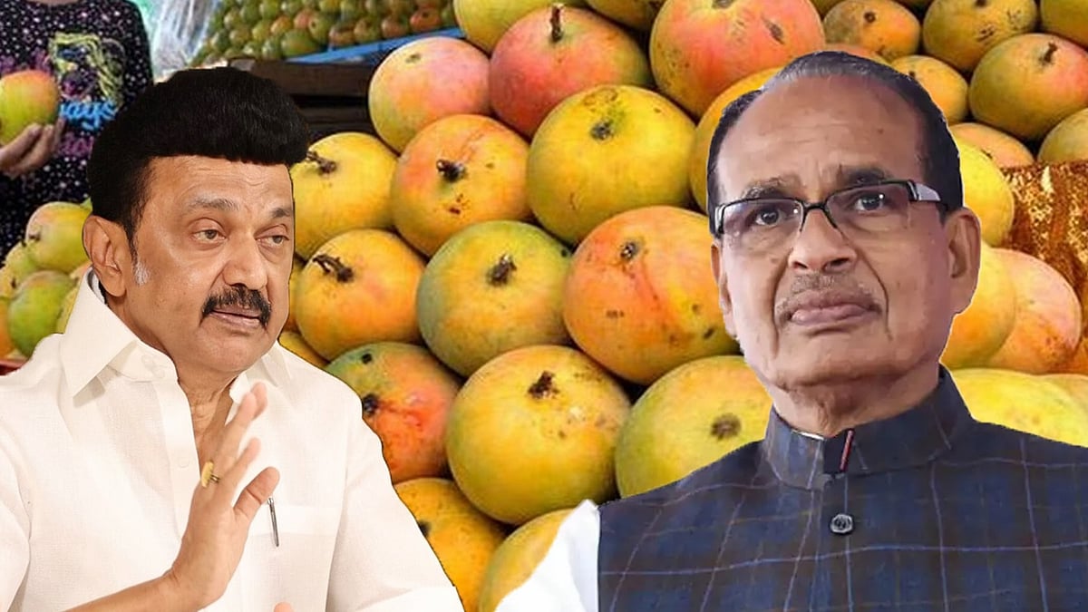 மாம்பழ விலை வீழ்ச்சி...  “விவசாயிகளுக்கு உரிய நிதியை வழங்கிடுக” - ஒன்றிய அமைச்சருக்கு முதலமைச்சர் கடிதம்!