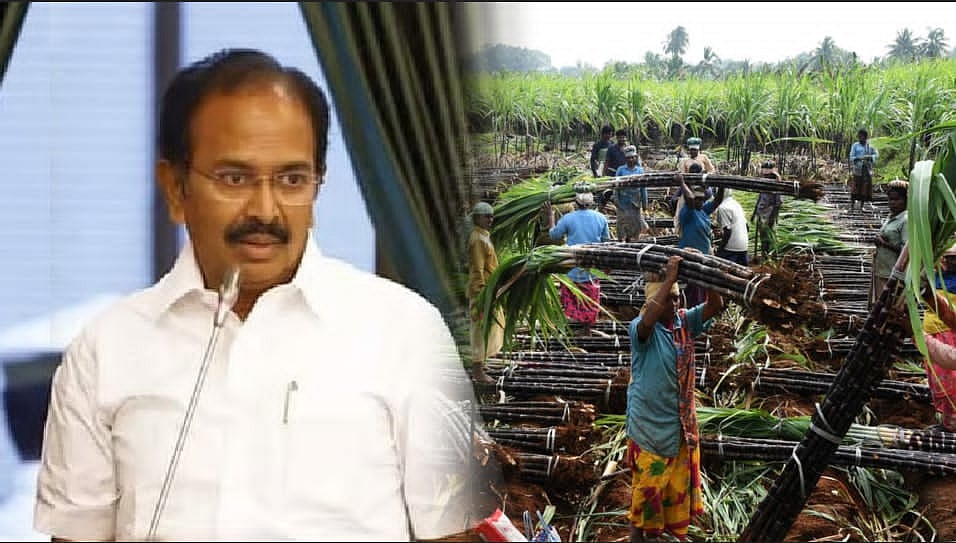 ”கரும்பு விவசாயிகளுக்கு ரூ.349 சிறப்பு ஊக்கத்தொகை வழங்கப்படும்” :  அமைச்சர் இரா.இராஜேந்திரன் அறிவிப்பு!