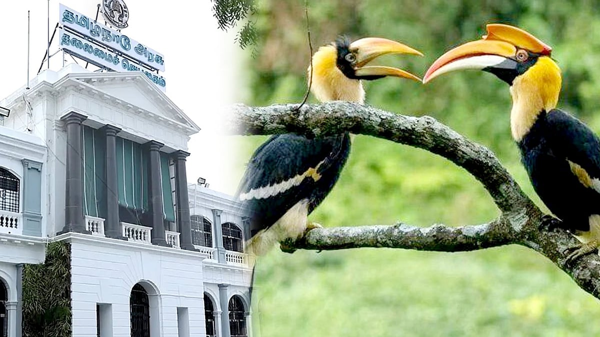 இந்தியாவின் முதல் ‘இருவாச்சி பறவைகள் பாதுகாப்பு மையம்’ தமிழ்நாட்டில் அமைகிறது! : எங்கு? எப்போது?