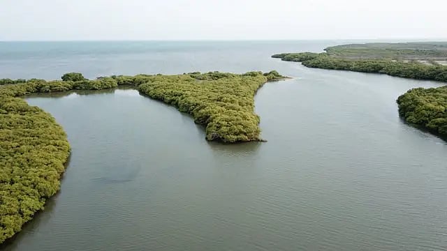 அலையாத்தி தோட்டம் எழுப்புதல் நிகழ்வு! : அமைச்சர் தங்கம் தென்னரசு தொடங்கி வைத்தார்! 