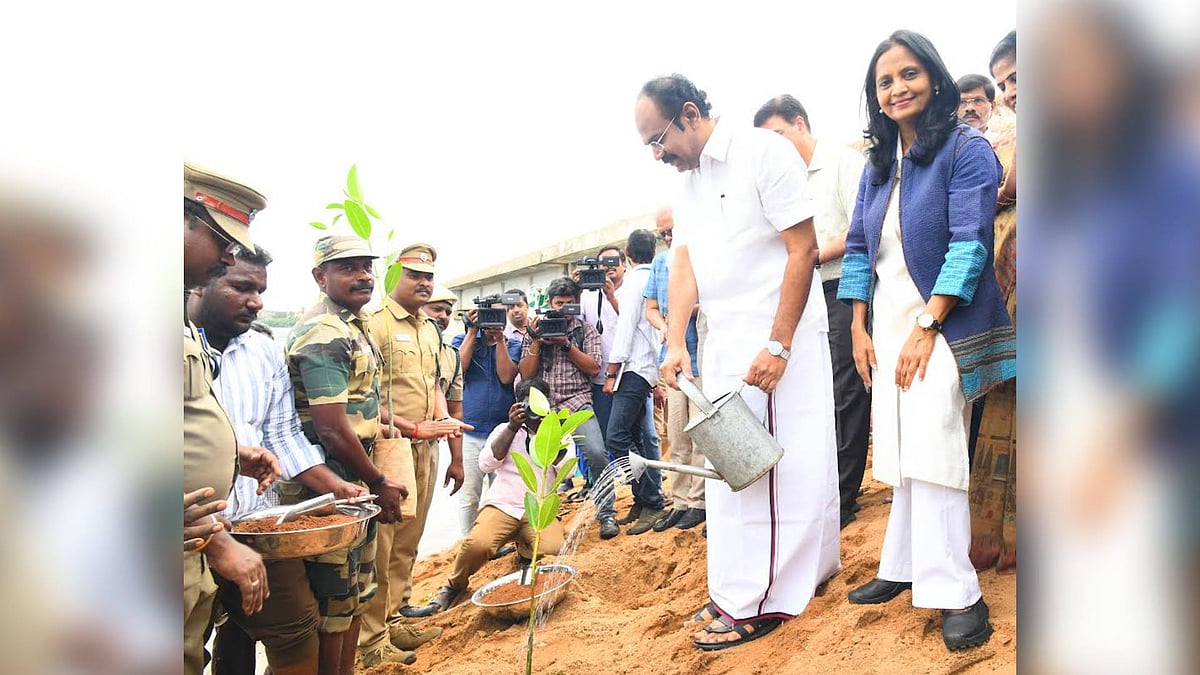 அலையாத்தி தோட்டம் எழுப்புதல் நிகழ்வு! : அமைச்சர் தங்கம் தென்னரசு தொடங்கி வைத்தார்! 