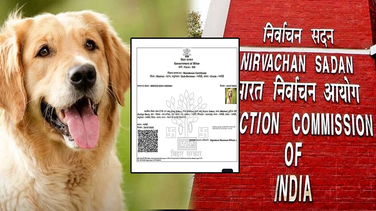 நாய்க்கு இருப்பிட சான்றிதழ்! : தேர்தல் ஆணையத்திற்கு பதிலடி கொடுக்கும் வகையில் நடவடிக்கை!