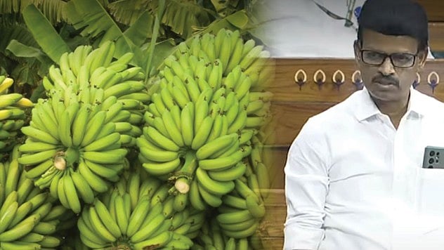 வாழைப்பழ ஏற்றுமதியை அதிகரிக்க நடவடிக்கை என்ன? : ஒன்றிய அரசுக்கு கேள்வி எழுப்பிய திமுக MPக்கள்!