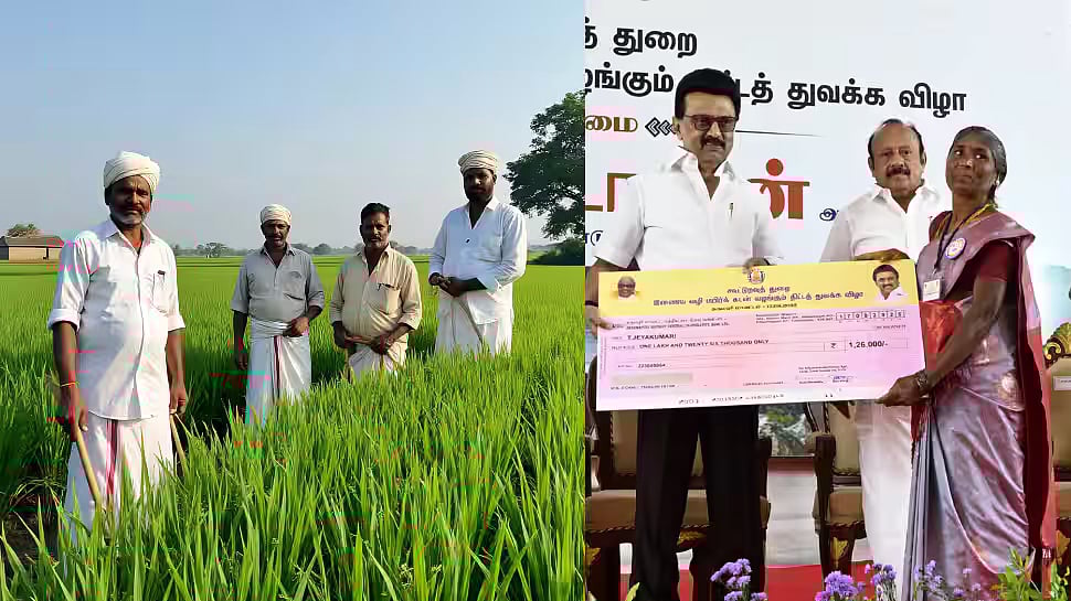 கேழ்வரகு உற்பத்தித் திறனில் இந்தியாவிலேயே முதலிடம்.. விவசாயிகள் போராட வேண்டிய நிலை இல்லாத தமிழ்நாடு!