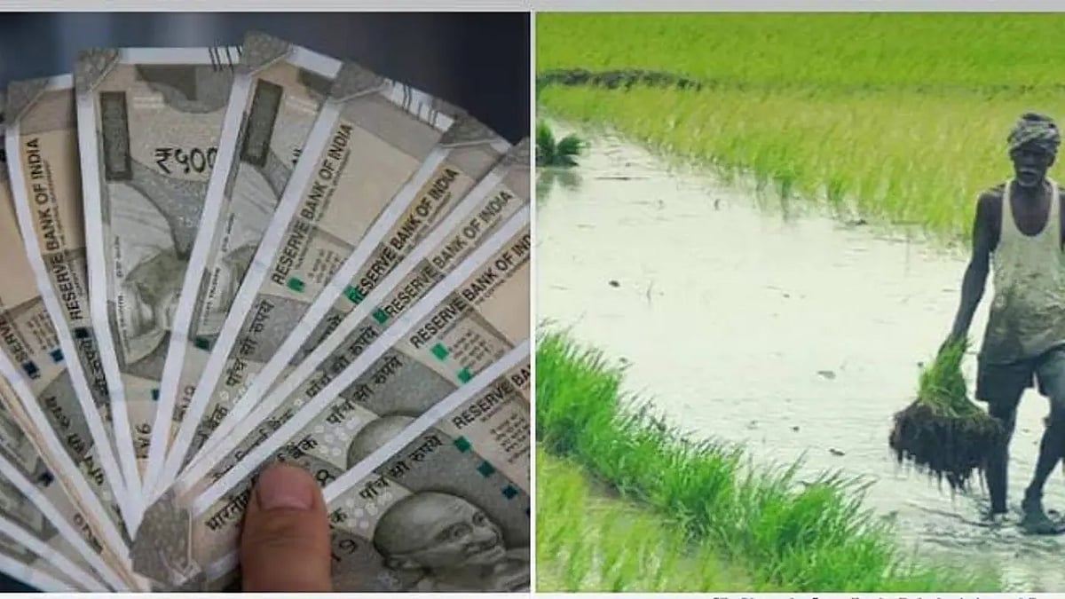 கேழ்வரகு உற்பத்தித் திறனில் இந்தியாவிலேயே முதலிடம்.. விவசாயிகள் போராட வேண்டிய நிலை இல்லாத தமிழ்நாடு!