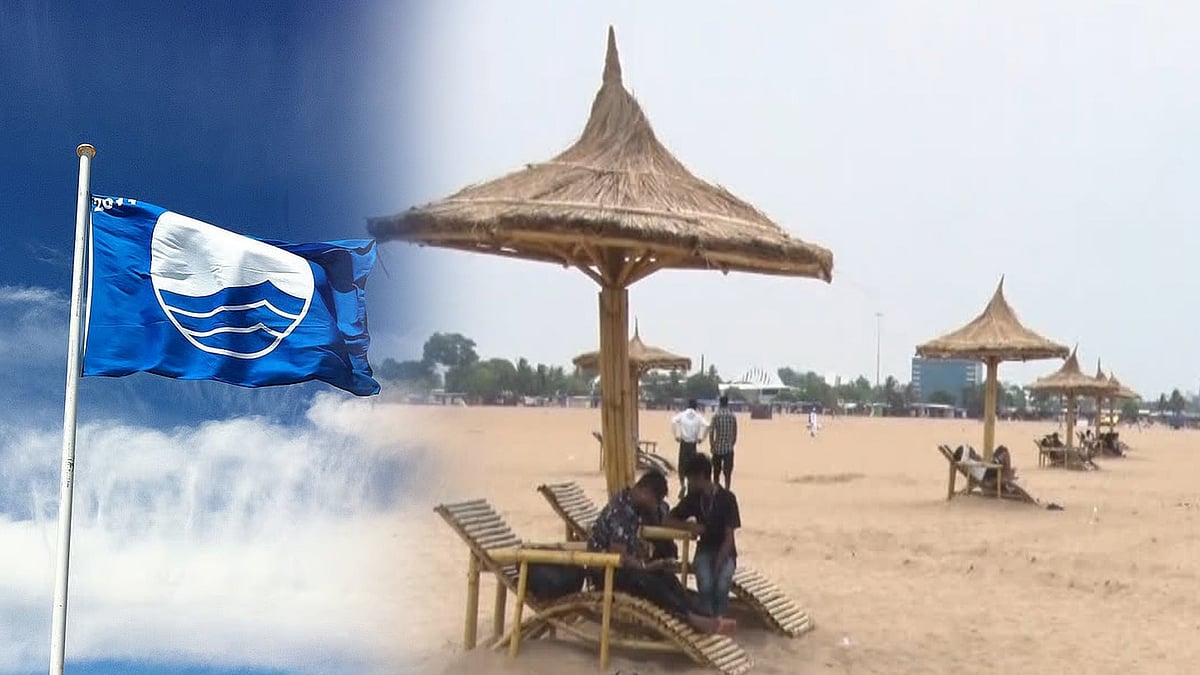 நீலக்கொடி சான்றிதழ் பெற அழகுபடுத்தப்படும் தமிழ்நாட்டின் 6 கடற்கரைகள்: ரூ.24 கோடி ஒதுக்கிய தமிழ்நாடு அரசு!