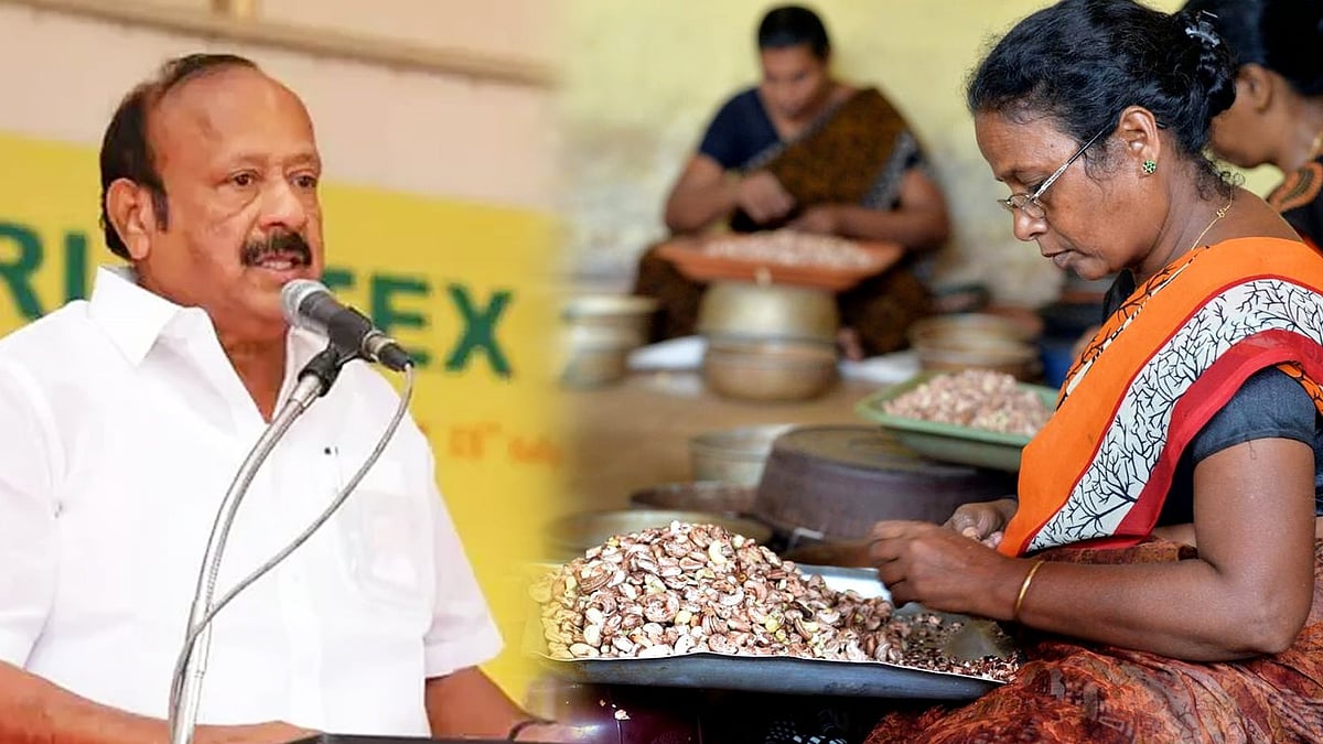 தமிழ்நாடு முந்திரி வாரியம் : அமைச்சர் எம்.ஆர்.கே. பன்னீர்செல்வம் அறிவிப்பு!