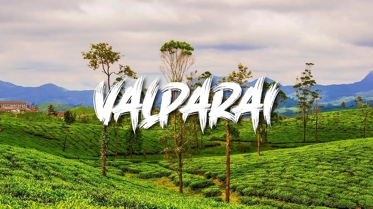 நவ. 1 முதல் : வால்பாறை செல்வதற்கும் இனி இ-பாஸ் கட்டாயம்... உயர்நீதிமன்றத்தின் உத்தரவுக்கு காரணம் என்ன ?