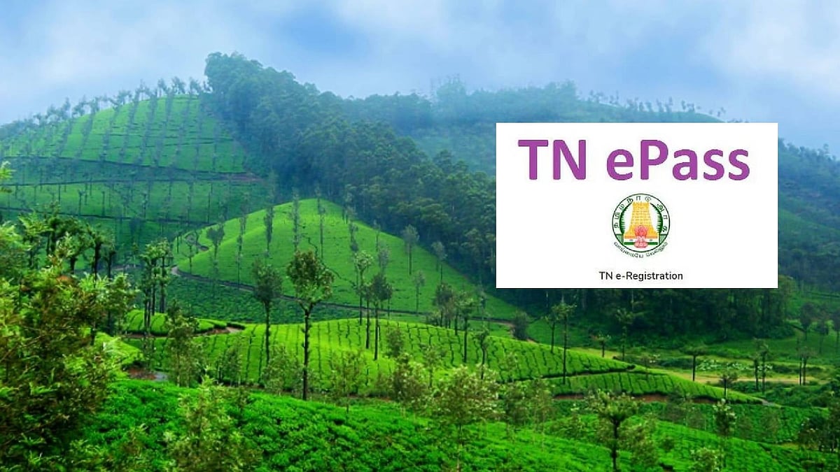 நவ. 1 முதல் : வால்பாறை செல்வதற்கும் இனி இ-பாஸ் கட்டாயம்... உயர்நீதிமன்றத்தின் உத்தரவுக்கு காரணம் என்ன ?