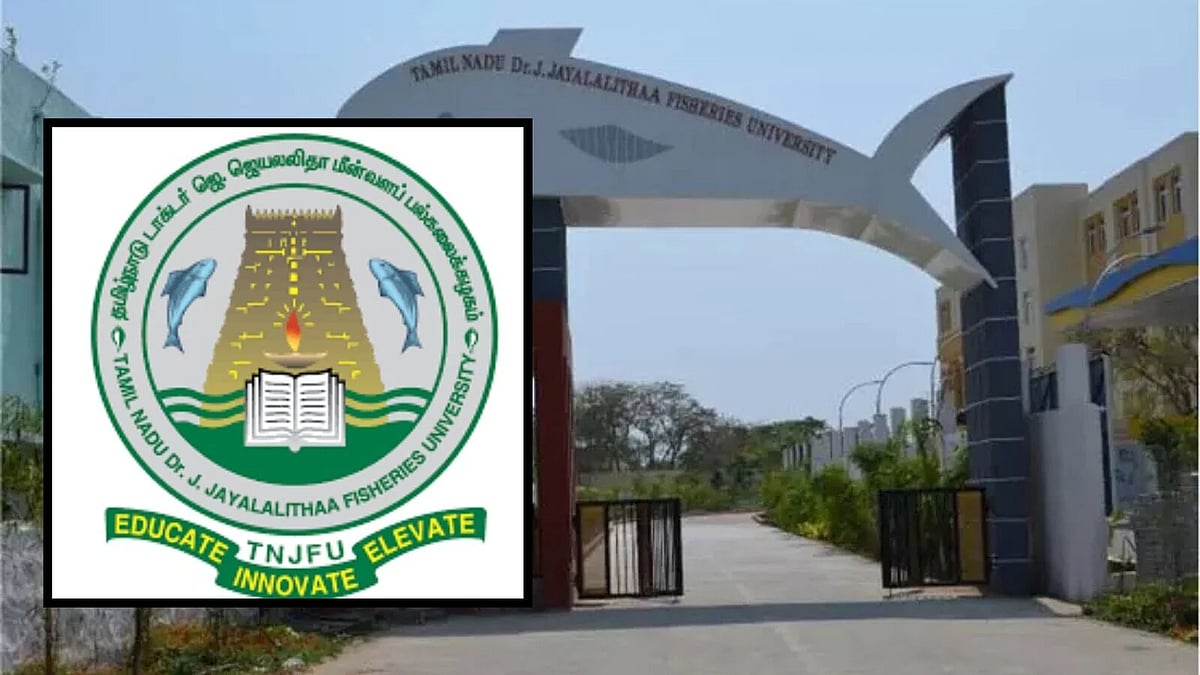 பாஜக, அதிமுகவுடன் போட்டியிடும் தவெக.. நாகை பிரச்சாரத்தில் மட்டும் இத்தனை பொய்களா? - அம்பலப்பட்ட விஜய்!