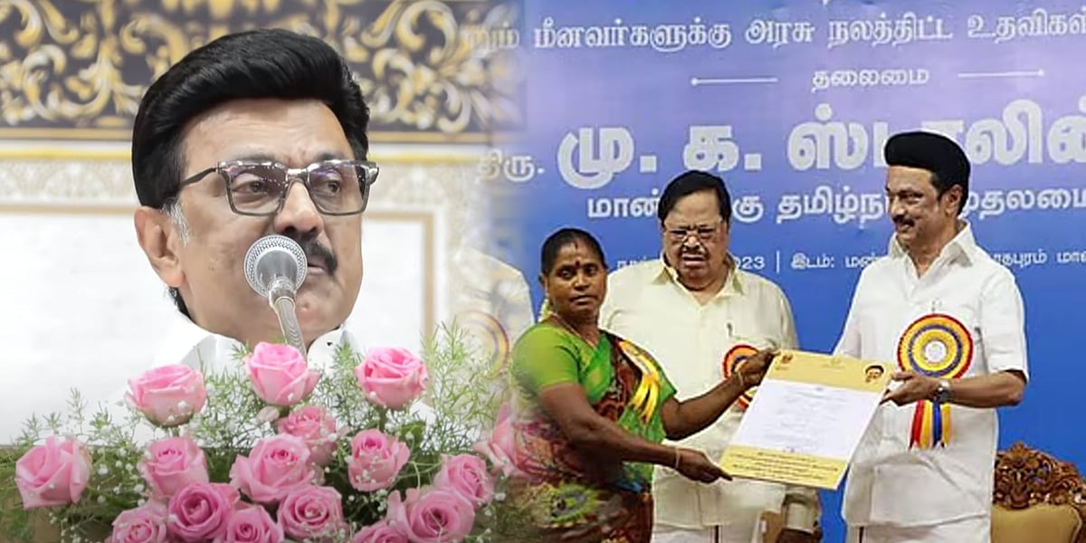 “ஆள் சேர்க்கும் அசைன்மென்டில் பழனிசாமி... இரத்தத்தை உறிஞ்சும் ஒட்டுண்ணி பாஜக” : முதலமைச்சர் விளாசல் !