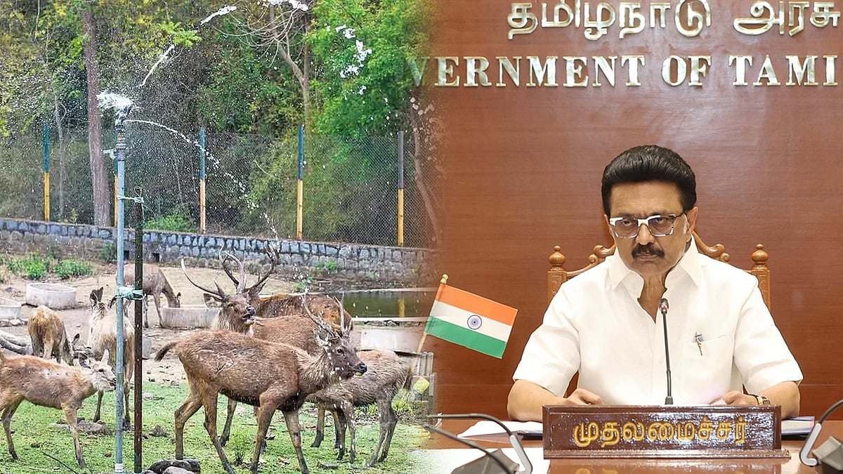 தமிழ்நாட்டில் 4 உயிரியல் பூங்காக்களுக்கு ரூ.35 கோடி நிதி ஒதுக்கீடு! : முதலமைச்சர் மு.க.ஸ்டாலின் ஒப்புதல்!
