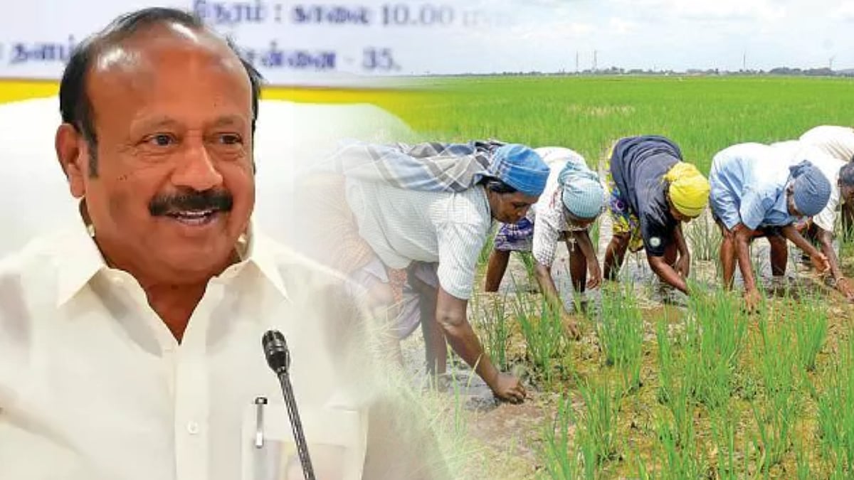 “தமிழ்நாட்டில் எப்போதும் இல்லாத வகையில் நெல் சாகுபடி” -அமைச்சர் MRK பன்னீர்செல்வம் விவரங்களுடன் அறிக்கை!