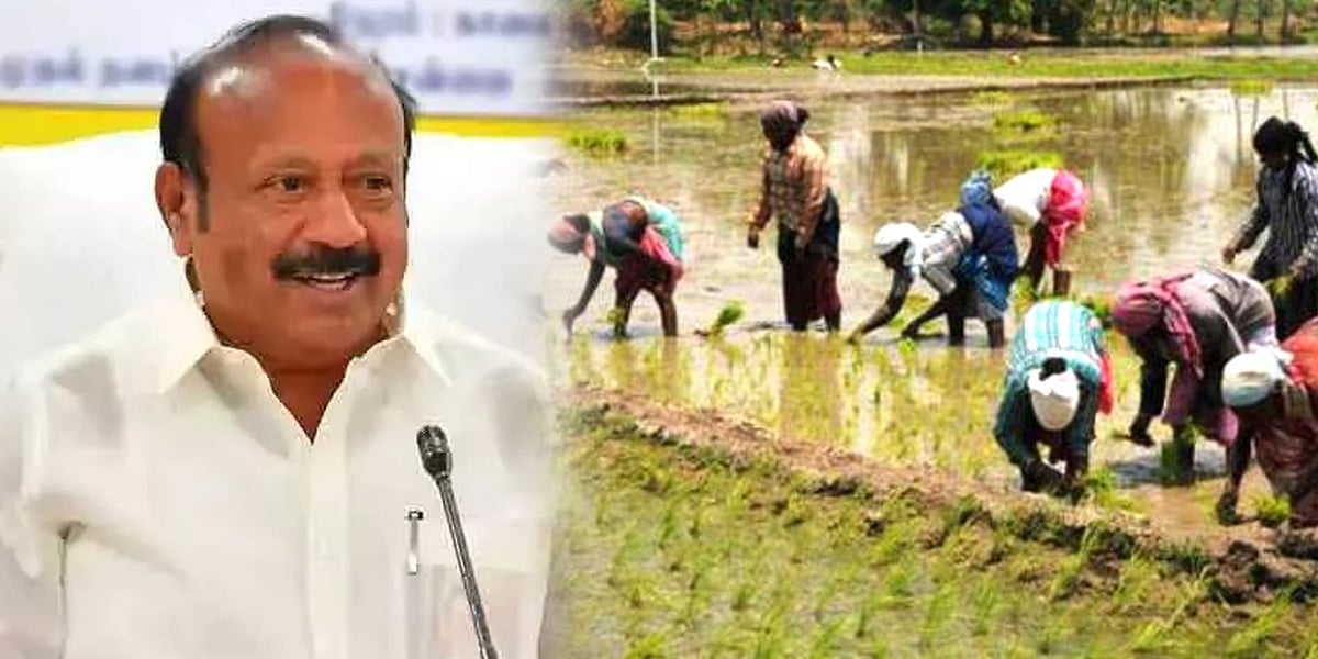 “தமிழ்நாட்டில் எப்போதும் இல்லாத வகையில் நெல் சாகுபடி” -அமைச்சர் MRK பன்னீர்செல்வம் விவரங்களுடன் அறிக்கை!