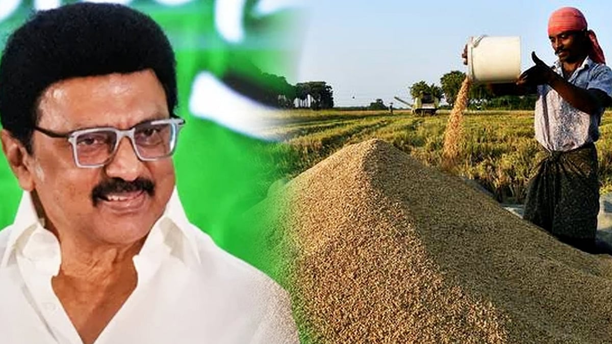 திராவிட மாடல் ஆட்சியில் அதிகரித்த நெல் கொள்முதல்- விவசாயிகளுக்கான திட்டங்களை பட்டியலிட்ட தமிழ்நாடு அரசு !