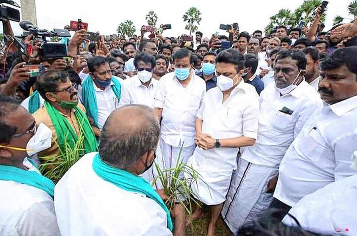 திராவிட மாடல் ஆட்சியில் அதிகரித்த நெல் கொள்முதல்- விவசாயிகளுக்கான திட்டங்களை பட்டியலிட்ட தமிழ்நாடு அரசு !