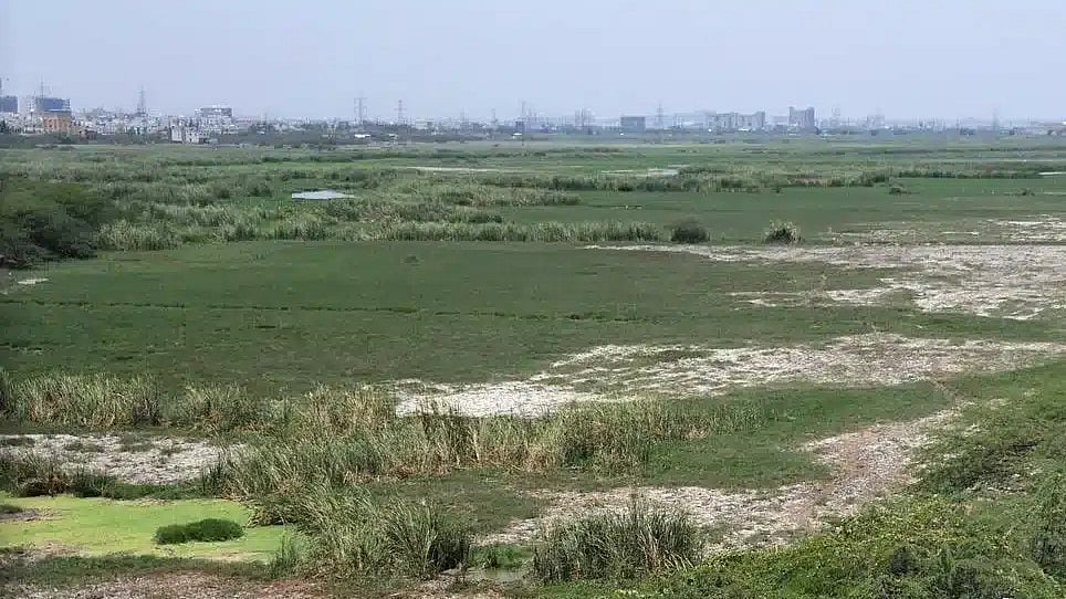 பள்ளிக்கரணை சதுப்புநிலம் - கட்டுமானங்களுக்கும் அனுமதி அளிக்கப்படுவதில்லை : தமிழ்நாடு அரசு விளக்கம்!