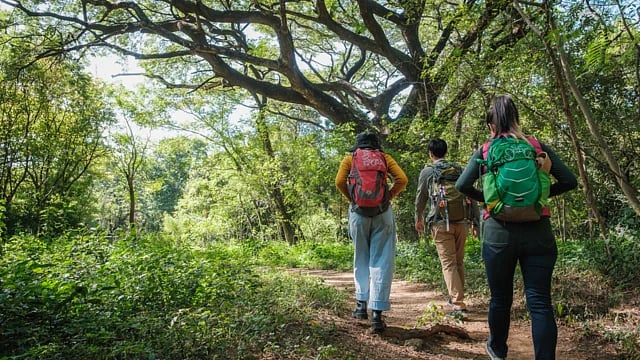 ”ஓராண்டில் 15,500 பேர் மலையேற்றம்”  : சுற்றுலாத்துறையில் முன்மாதிரியாக திகழும் தமிழ்நாடு!