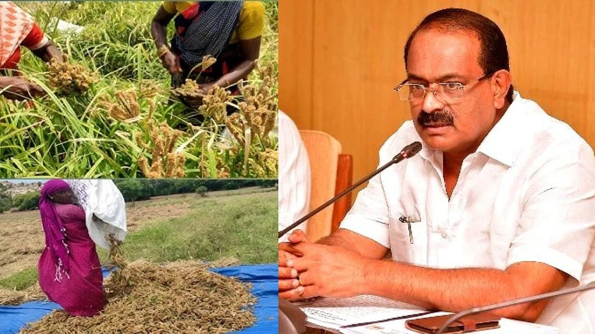 நவம்பர் மாதம் முதல்... 4 மாவட்டங்களில் கேழ்வரகு கொள்முதல்.. அமைச்சர் சக்கரபாணி கூறுவது என்ன?