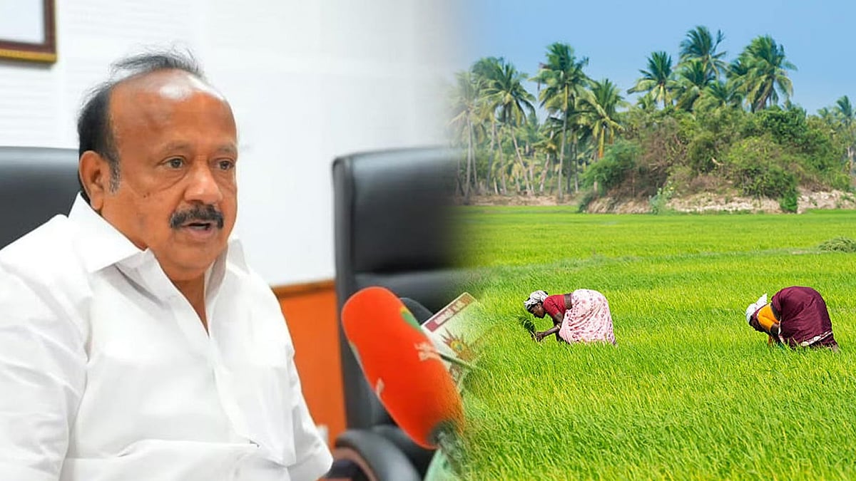 சம்பா நெற்பயிர் காப்பீட்டிற்கான காலவரம்பு நீட்டிப்பு... அமைச்சர் எம்.ஆர்.கே.பன்னீர்செல்வம் வேண்டுகோள்!