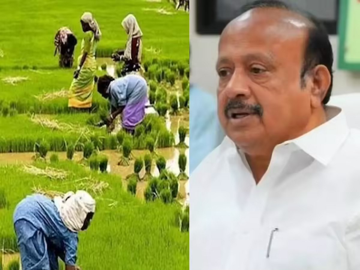 சம்பா நெற்பயிர் காப்பீட்டிற்கான காலவரம்பு நீட்டிப்பு... அமைச்சர் எம்.ஆர்.கே.பன்னீர்செல்வம் வேண்டுகோள்!