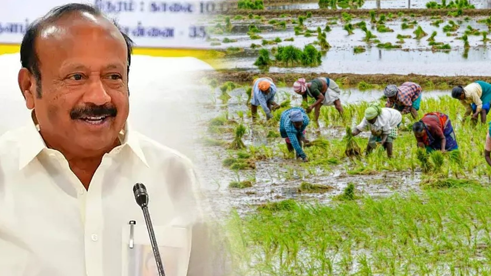 “ரூ.42 கோடியில் 1,000 முதலமைச்சரின் உழவர் நல சேவை மையங்கள்!” : அமைச்சர் எம்.ஆர்.கே.பன்னீர்செல்வம் தகவல்!