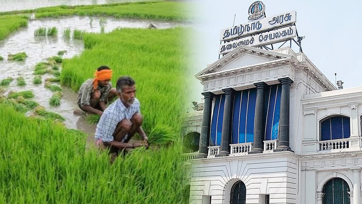 அனைத்து விவசாயிகளும் டிசம்பர் 1 வரை பயிர்க்காப்பீடு செய்ய அனுமதி! : தமிழ்நாடு அரசு அறிவிப்பு!