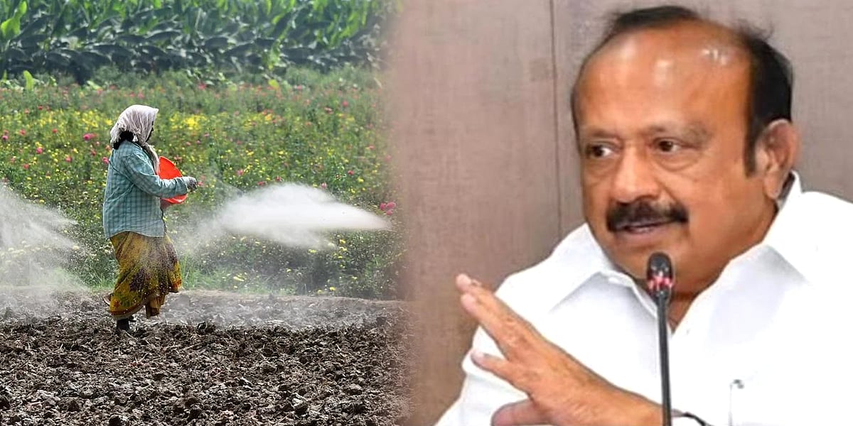 அனைத்து விவசாயிகளும் டிசம்பர் 1 வரை பயிர்க்காப்பீடு செய்ய அனுமதி! : தமிழ்நாடு அரசு அறிவிப்பு!